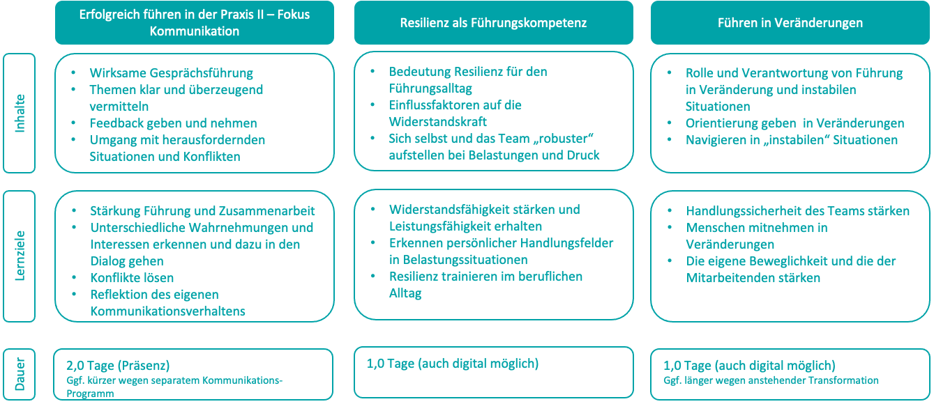 Training Fuehrungskraefteentwicklung: Curriculum 2