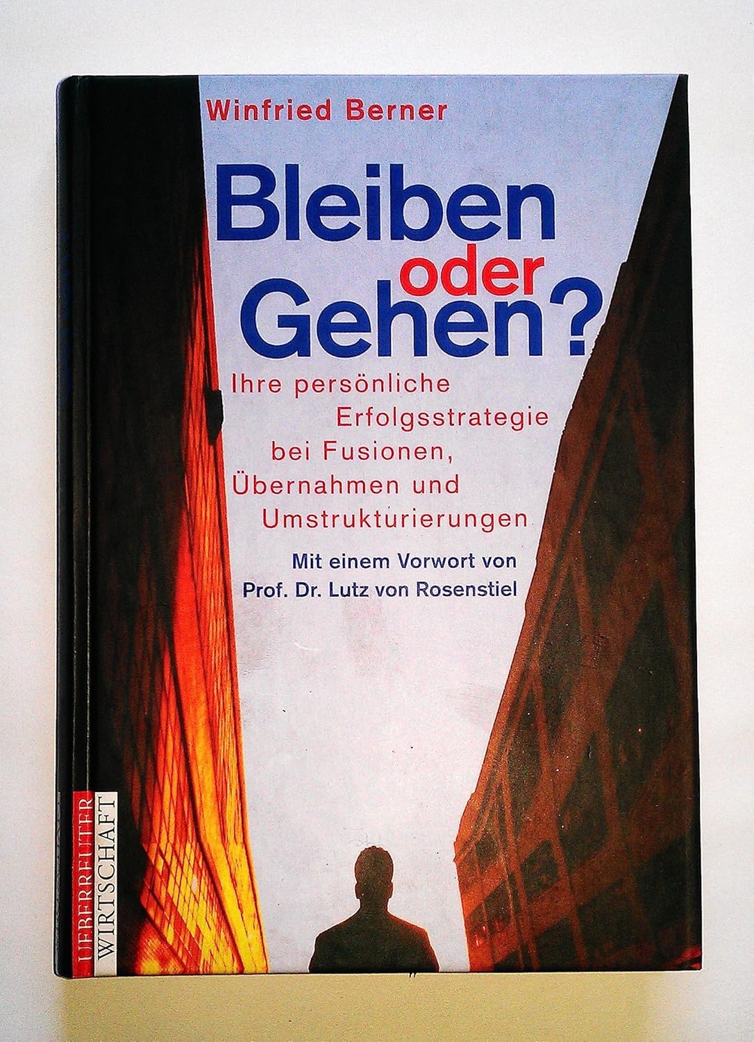 Buchcover Bleiben oder Gehen von Winfried Berner