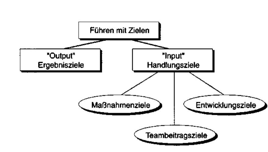 Abbildung 1: Input- und Output-Ziele