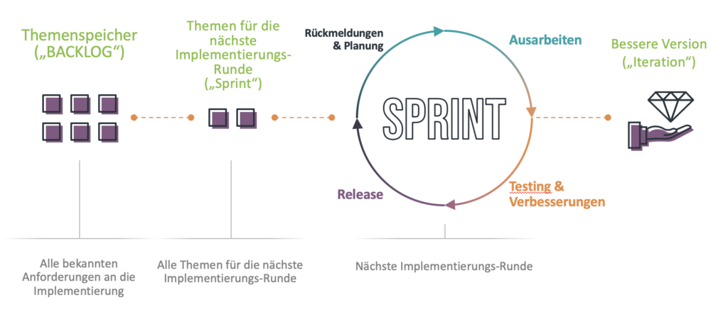 Agile Organisationsentwicklung - Schema