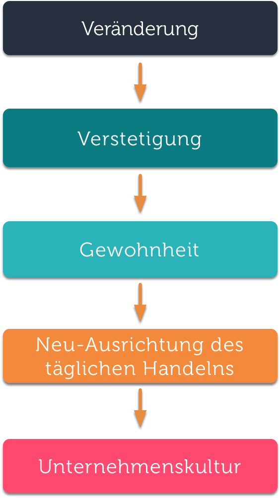Kulturwandel in 5 Schritten