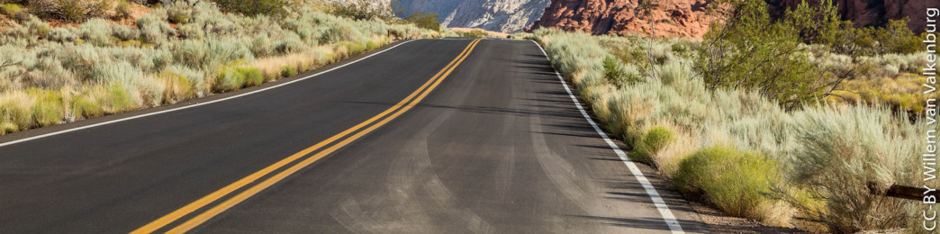 Leadership Journey: Road ahead