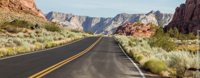 Leadership Journey: Road ahead